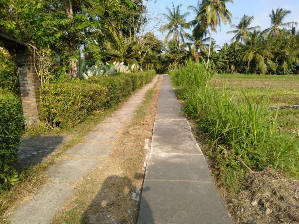 Balian Bliss Retreat Resort - Adults Only Exterior foto